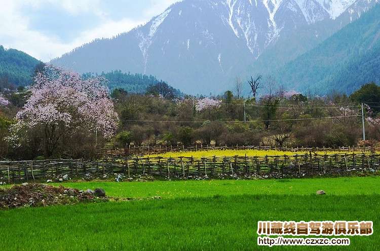 林芝景色一