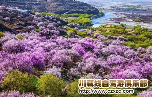  川藏線旅游包車發現最美林芝