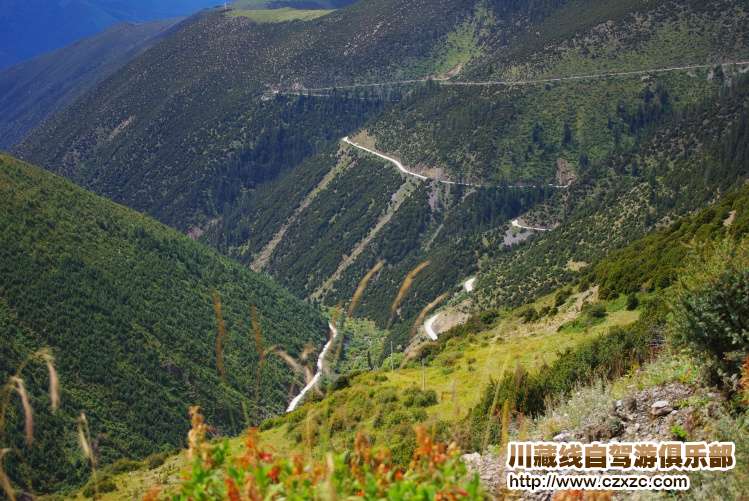 高爾寺山
