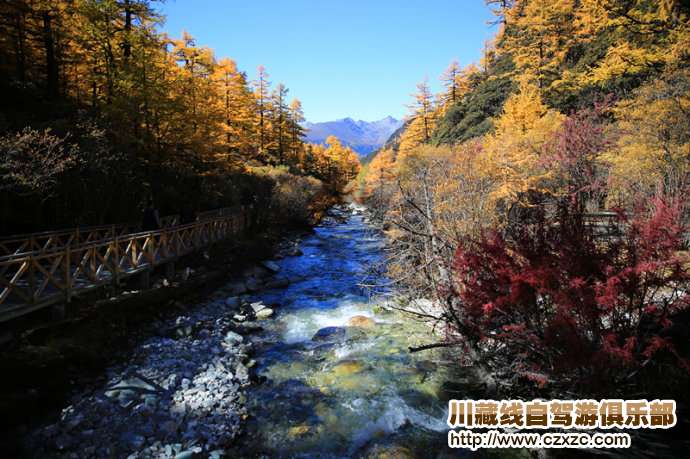 夏洛多吉雪山