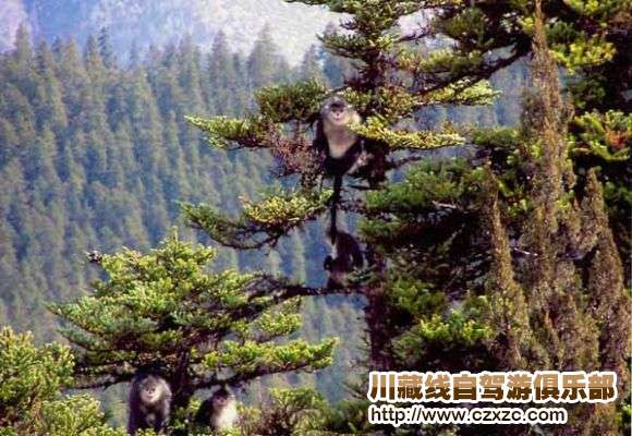 紅拉山