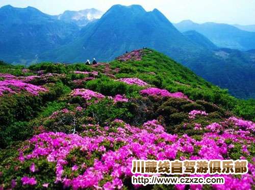 色季拉山