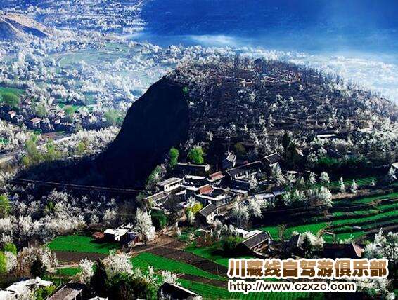 金川