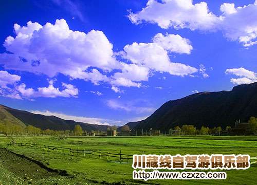 八美