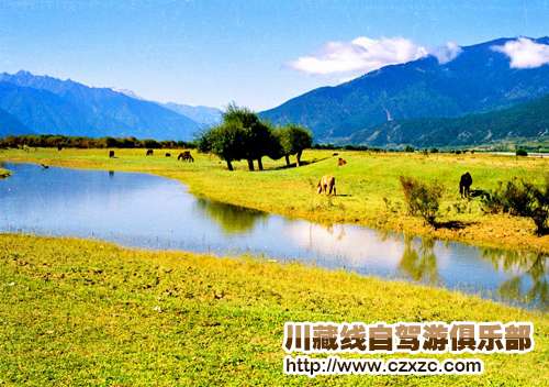 20130319085642908.jpg