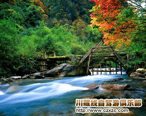 自駕游九寨溝