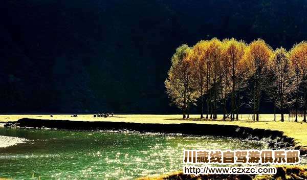 川藏線自駕旅游最佳時節
