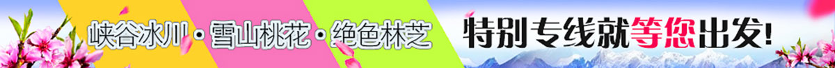 說明