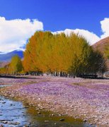 海螺溝、木格錯、峨眉山川藏環(huán)線自駕6日游
